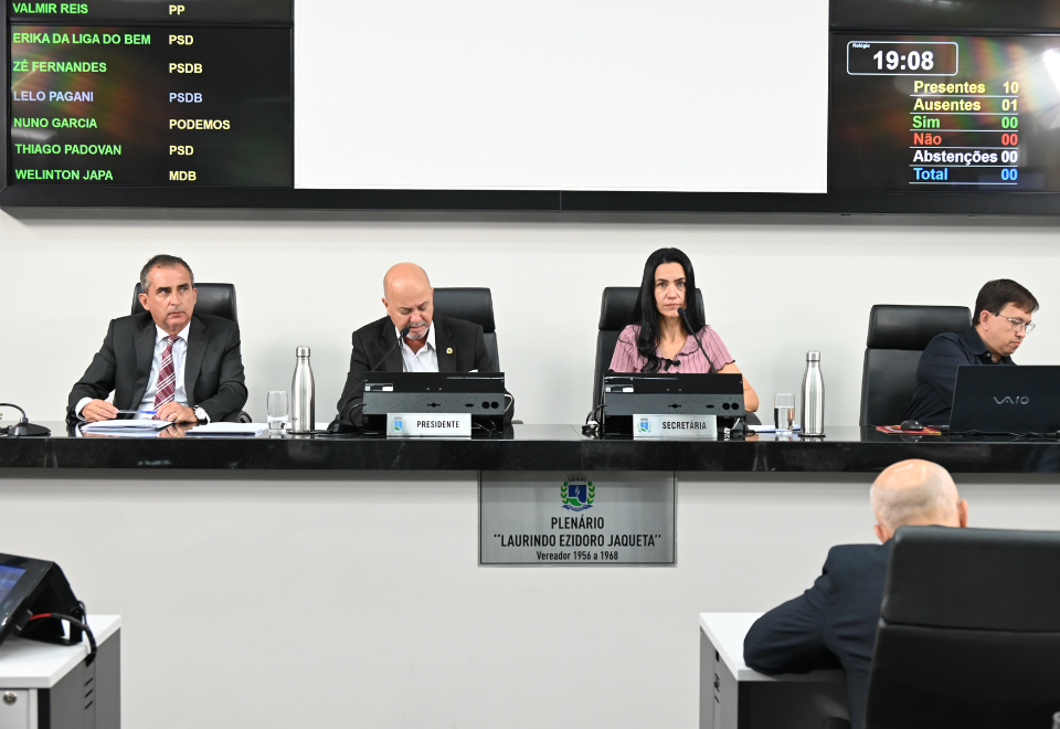 Imagem do slide