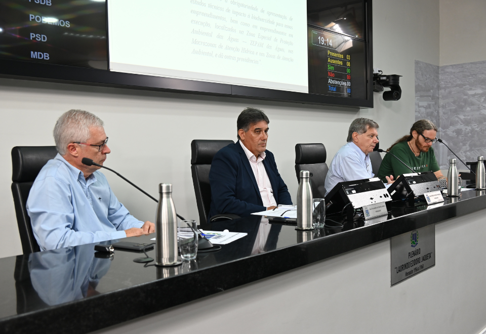 Imagem do slide