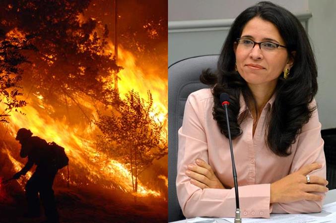 Imagem da Notícia