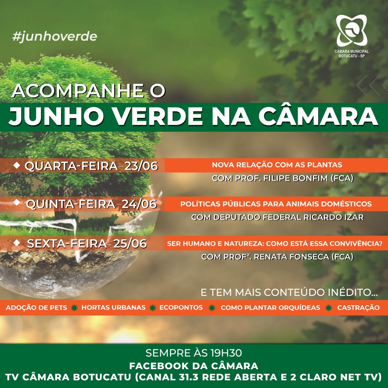 Imagem da Notícia
