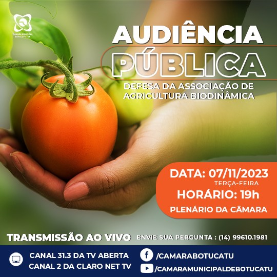 Imagem da Notícia